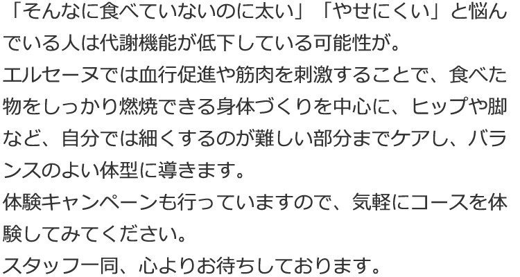 エステサロン エルセーヌ錦糸町店 墨田区江東橋 エステのエルセーヌ