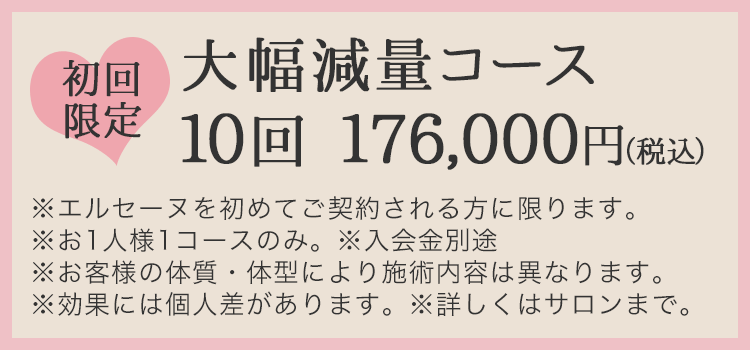 卸売価格の販売 エルセーヌ⭐︎NEWスタオベ１箱 代謝ダイエット腸内